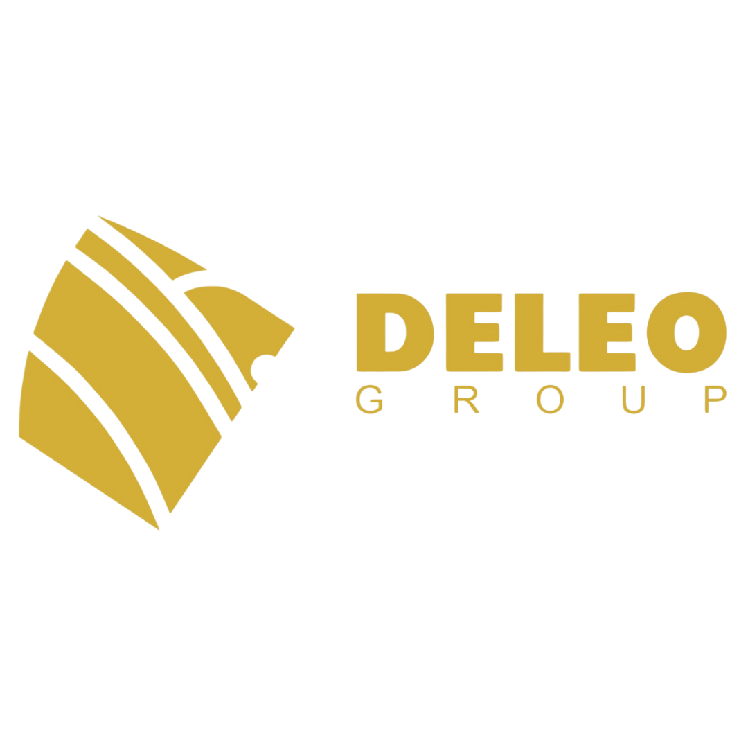 The DeLeo Group
